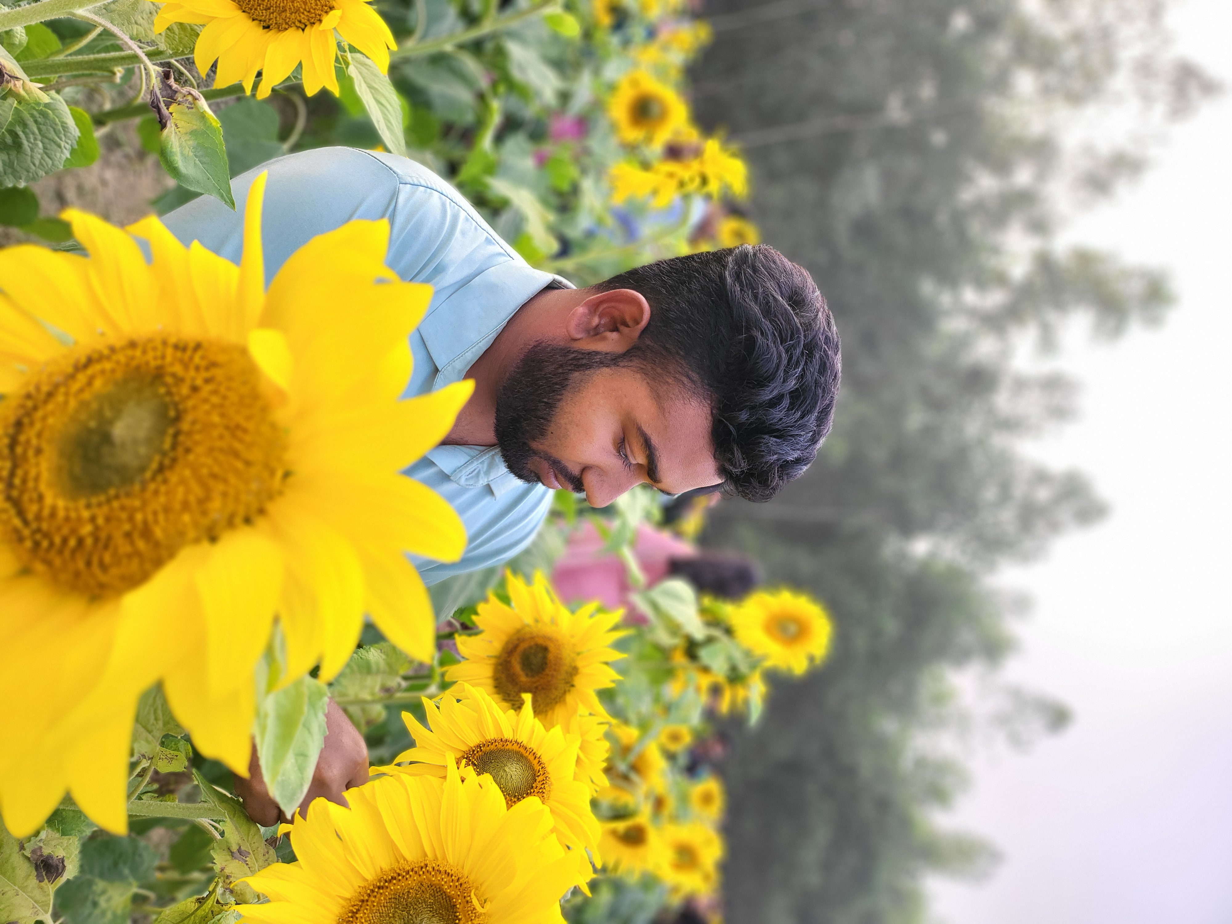 মো: হাকিম ইসলাম হৃদয়